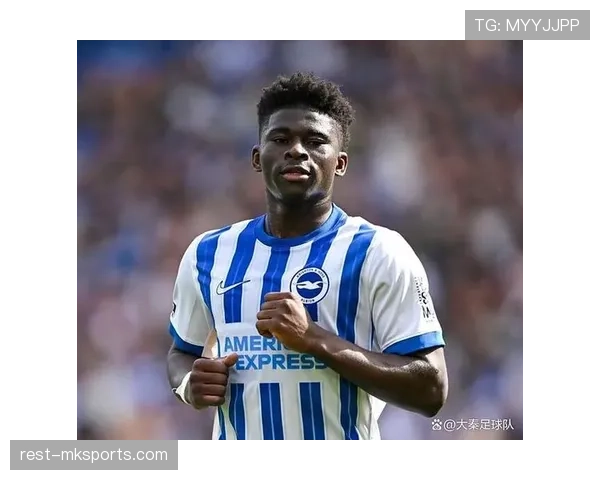 布莱顿转会窗积极引援,持续补强阵容引关注 布莱顿转会窗积极引援,持续补强阵容引关注