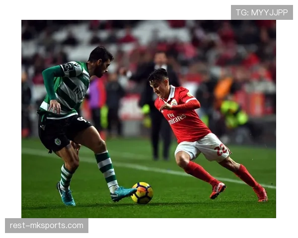 本菲卡阵容深度