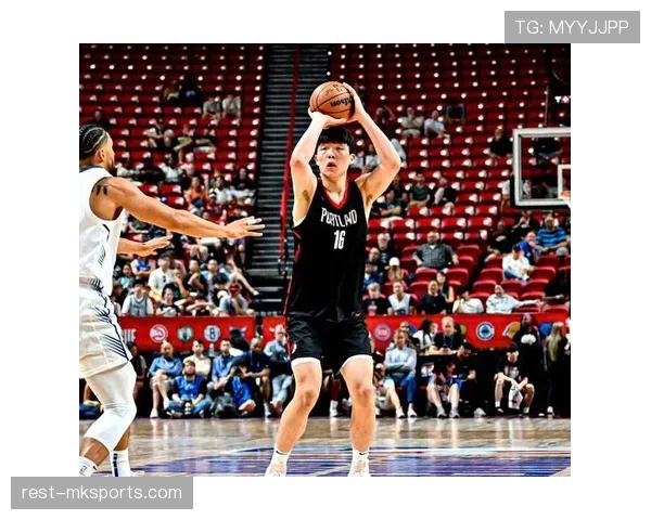 杨瀚森防守端抢断数提升显著，助力球队篮板控制优势明显